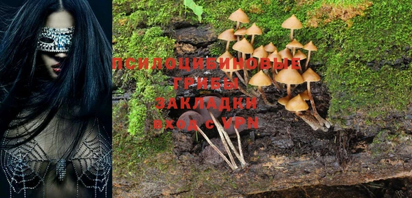 гидропоника Верхнеуральск