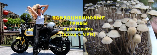 гидропоника Верхнеуральск