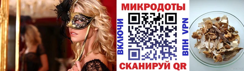Галлюциногенные грибы Psilocybe  наркота  Елец 